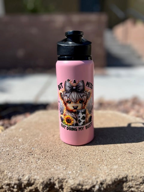 Bit Of A Mess, But Doing My Best