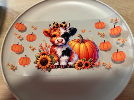 #155 Pumpkin Highland Cow